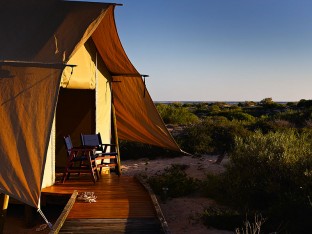 0000036257_TentMMS_SalSalis_003
