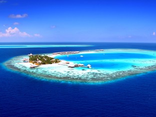 0000019569_Listing