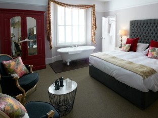 x-swan-room-1