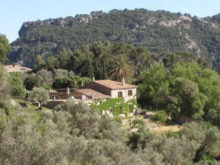 0000031313_listing