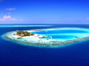 0000019569_Listing