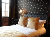 32922-0000038195-velvet-gallery-800x600-6