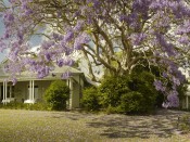 Hotel Spicers Clovely - Sunshine Coast - Australia - External 2