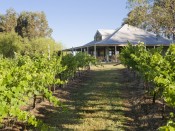 Spicers Vineyards Estate Hotel – Hunter Valley – Australia